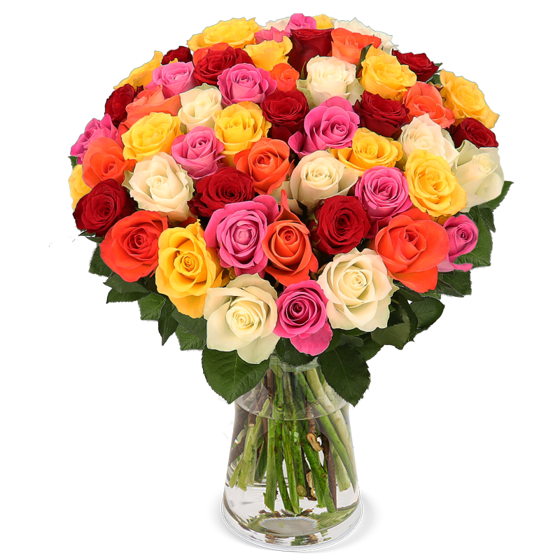Rosenstrauß mit 50 bunten Rosen bestellen BlumeIdeal.de
